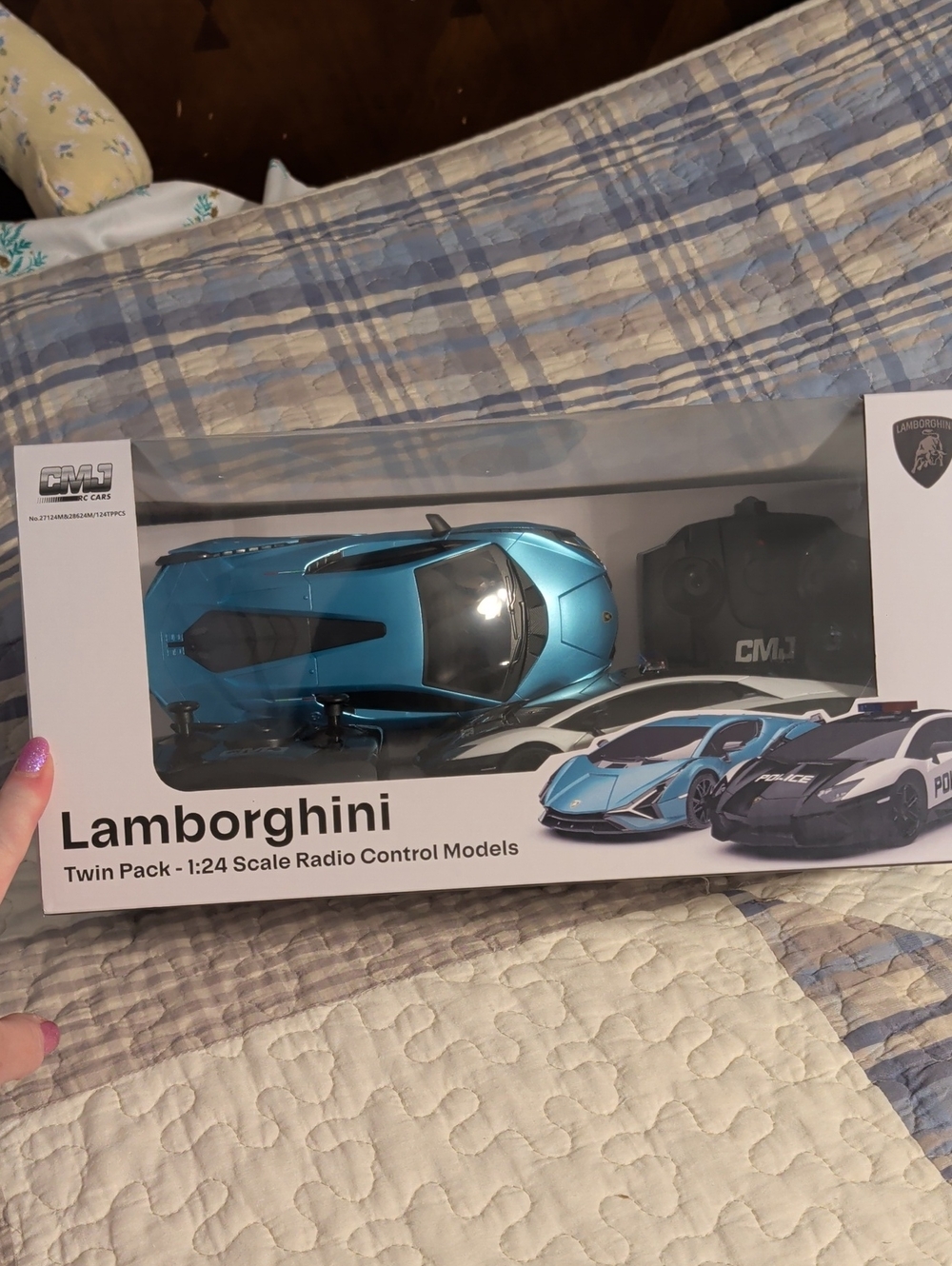 Lamborghini Metallic Teal and Black RC Twin Pack